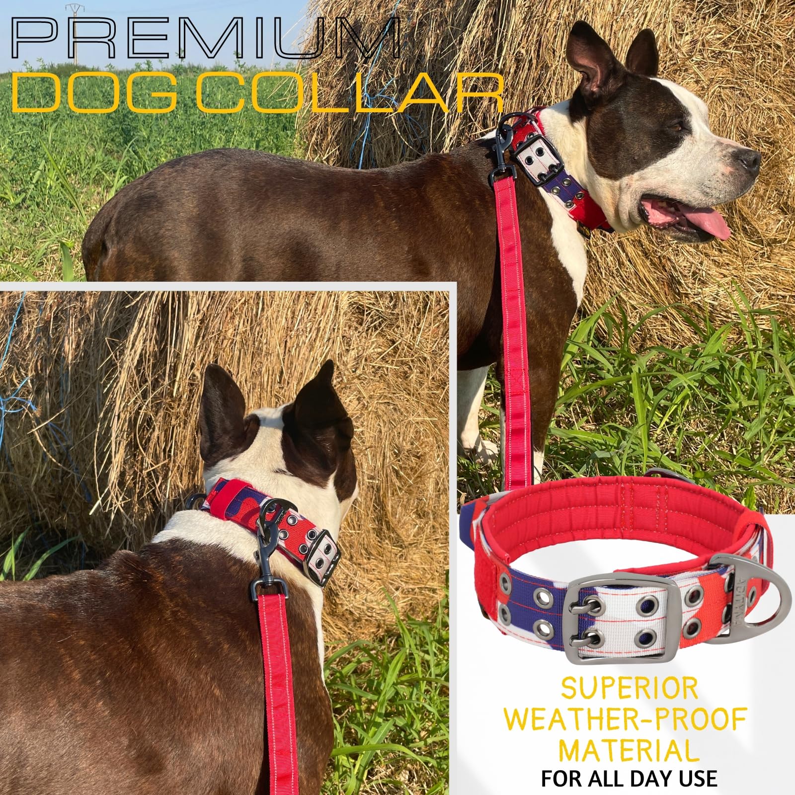 Adityna Heavy Duty Dog Collar For Medium Dogs - Camo Red Blue Collar With Handle For Training, And Walking - Wide, Thick, Tactic